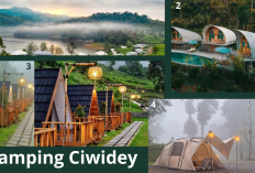 4 Glamping Estetik di Ciwidey dengan Panorama Kabut, Paling Cocok Dinikmati di Musim Hujan