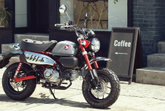 Spesifikasi Lengkap dan Harga Terbaru Honda Monkey 2026