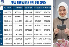 Simulasi Tabel KUR BRI 2025 Hingga Rp 100 Juta Cicilan 60 Bulan, Cek Syarat Agar Cepat Disetujui