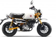 Makin Ikonik! Honda Monkey Terbaru 2026 Hadir dengan Warna Baru dan Jok Bermotif Kotak-Kotak