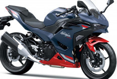 10 Warna Baru 6 Model Ninja 2026, Cek Pilihan Kamu!