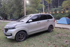 5 Mobil Bekas Paling Bandel 2026, Rekomendasi Mobil Bekas Murah yang Masih Layak Diburu