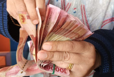 Bocoran Jadwal Tunjangan Profesi Guru 2026 Dibayar Setiap Bulan, Ini Perkiraan Waktunya