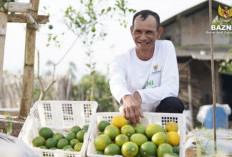 BAZNAS Perluas Zakat Community Development, Sasar Wilayah dengan Kemiskinan Ekstrem