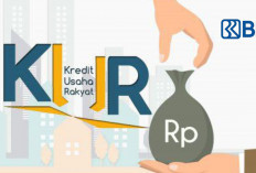 Tabel Pinjaman KUR BRI 2026 Cicilan Rp 10–Rp 100 Juta Tenor hingga 60 Bulan, Simak Cara Ajukan Modal UMKM