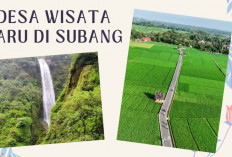 Jelajahi 7 Desa Wisata Baru di Subang 2026, Dari Sawah Asri hingga Pemandian Air Panas