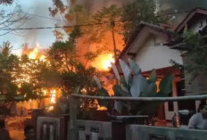 Pangandaran Catat 9 Kebakaran dalam 12 Hari, Warga Diminta Waspada Musim Kemarau