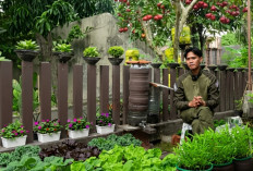 Mahasiswa Ini Ubah Kontrakan Jadi Sumber Pangan: Hemat Biaya Hingga 70 Persen dengan Sistem Terpadu