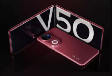5 Rekomendasi HP Harga Rp 5 Jutaan Terbaik Juli 2026, Layar AMOLED 120Hz dan Spek Bikin Tergoda