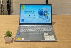 Daftar Laptop ASUS 2026 dari Murah hingga Flagship, Mana yang Paling Worth It?