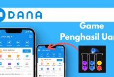 Saldo DANA Gratis Rp246.500 dari Game Penghasil Uang Ball Sort, Game Teka Teki Menyortir Bola