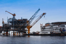 Selain Rusia, Indonesia Bidik Suplai Migas dari Afrika