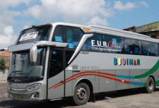 Update Tarif dan Jadwal Bus Budiman Tasikmalaya–Bekasi Per 17 Februari 2026 Jelang Puasa Ramadan!