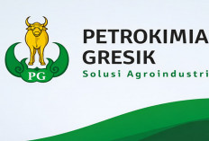 Fresh Graduate Wajib Daftar! Simak Syarat Hingga Jadwal Program Magang MAGENTA Petrokimia Gresik