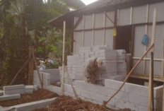 Patungan Rp1.000 dari ASN Jabar Berhasil Renovasi 18 Rumah Warga Garut