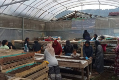 Perempuan Nasabah PNM Mekaar di Bandung Barat Kembangkan Usaha Lewat Sinergi Ultra Mikro BRI