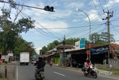 Jalur Alternatif Mudik Lebaran 2025 di Kabupaten Tasikmalaya Butuh Penerangan, Ada Lampu PJU Nyala Siang Hari