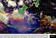 Asap Karhutla Mulai Menjauhi Jabodetabek, BMKG Catat 478 Titik Panas di Indonesia