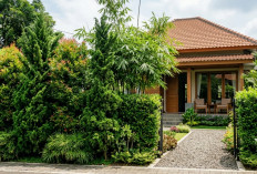 Pagar Hidup Bikin Rumah Adem dan Privat, Ini 10 Tanaman Cepat Tumbuh yang Wajib Kamu Coba