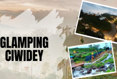 Musim Hujan di Ciwidey? Ini 4 Glamping Estetik dengan View Kabut Dramatis