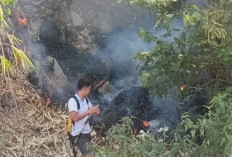 Kebakaran Lahan di Kaki Gunung Cikuray Garut Meluas, Petugas Pilih Pantau dari Lokasi Aman