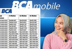 Skema Tabel Angsuran KUR BCA 2026 Plafon Pinjaman Rp 500 Juta, Cek Cicilan 1-5 Tahun