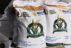 Mulai 17 Agustus, Pemerintah Tebar Bantuan Beras 10 Kg ke Puluhan Juta Keluarga Penerima Manfaat 