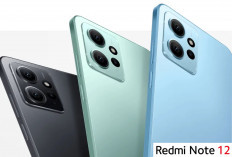 5 Rekomendasi HP Harga 2 Jutaan Terbaru 2026, Paling Worth It Dipakai Awal Tahun