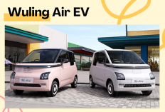 Harga Mobil Listrik Wuling Air EV Bekas di 2026 Turun Tajam, Masih Layak Dibeli?