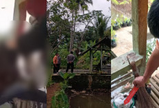 Kasus Perundungan di Tasikmalaya, Empat Remaja Perempuan Resmi Jadi Tersangka