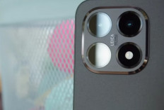 Daftar Lengkap HP Xiaomi Februari 2026, Dari Flagship hingga Harga Dua Jutaan