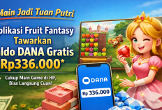 Viral! Cara Dapat Saldo DANA Gratis Rp336.000 dari Aplikasi Fruit Fantasy Cuma Modal Main Game