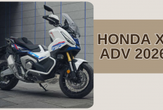 Honda X-ADV 2026 Segera Rilis! Skutik Petualang yang Stylish dan Lincah untuk Bermanuver