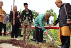 UIN Siber Syekh Nurjati Cirebon Tanam 17.845 Pohon, Pecahkan Rekor MURI di HUT ke-81 RI