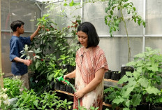 Berkebun Kini Digemari Anak Muda, Cara Sederhana Ubah Waktu Luang Jadi Lebih Produktif