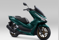 Honda PCX 160 Terbaru Meluncur di IIMS 2026, Ini Daftar Warna Baru dan Harganya!
