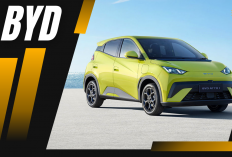 Update Lengkap Harga Mobil BYD Januari 2026, Mulai Rp 199 Juta