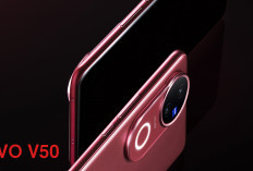 Daftar Terbaru Harga 7 HP Vivo Februari 2026: Vivo Y05 Rilis, V60 Lite Naik Harga!