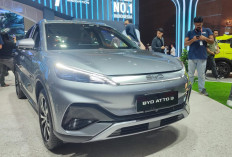 Atto 3 Advanced Plus Jadi Andalan Baru, BYD Unjuk Inovasi Hijau di IIMS 2026