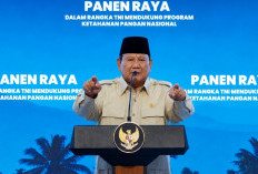Prabowo Percepat 30 Pabrik Bioetanol, Siapkan Motor Listrik Nasional dan Perkuat Industri Dalam Negeri