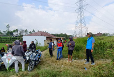 Jaga Keandalan Pasokan Listrik di Garut, PLN UPT Cirebon Tetap Laksanakan Sweeping Layangan Selama Ramadhan