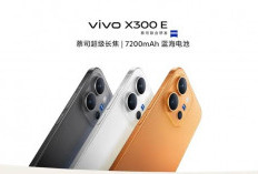 Bocoran Vivo X300 E Makin Lengkap, Baterai 7200mAh dan Snapdragon 8 Gen 5 Jadi Sorotan