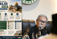 MUI Gandeng DPR Gelar Forum Internasional, Dukung Palestina dan Peringati Tragedi Pembakaran Al-Aqsa 