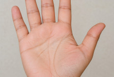 Membaca Garis Telapak Tangan dan Maknanya, Benarkah Menentukan Nasib?