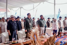 Panen Padi Organik Ciamis Berhasil, Pemkab Resmikan Sekretariat Klaster untuk Perkuat Pertanian Berkelanjutan