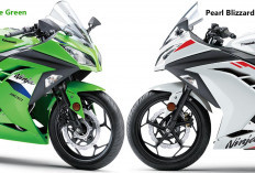 Kawasaki Ninja 300 2026 Resmi Diperkenalkan, Mesin Lebih Besar dan Fitur Modern Ala Motor Balap