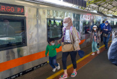 Link dan Cara Daftar Mudik Gratis 2026 Lewat Mitra Darat Kemenhub