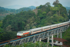 Diskon Tiket Kereta Libur Nataru 30 Persen, Cek Kuota dan Cara Pesannya di Sini