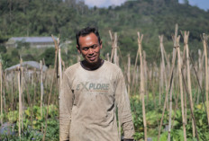 Mengenal Desa BRILian Sumowono, Desa Sayur yang Tumbuh dan Terus Berinovasi Bersama BRI