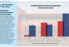 Kebakaran Lahan Garut Melonjak 676 Persen, 338 Kasus Tercatat hingga Agustus 2026
